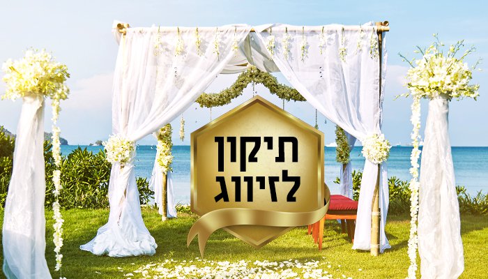 תיקון לזיווג