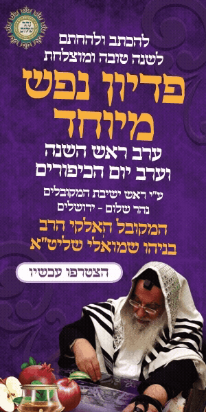 באנר צדדי גדול